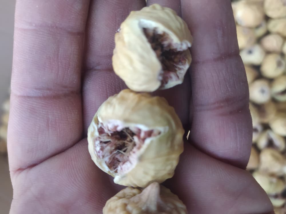 تصویر 1 از فروش ویژه انجیر خشک صد یک آ + فروش ویژه